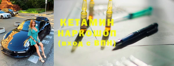 крисы Бородино
