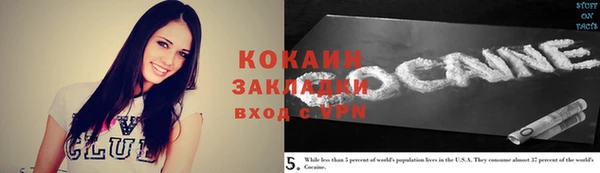 крисы Бородино
